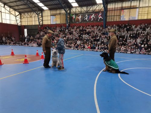 Presentación Escuela Adiestramiento Canino