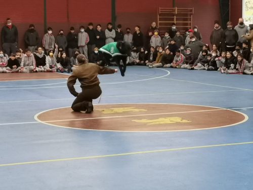 Presentación Escuela Adiestramiento Canino