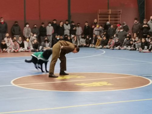Presentación Escuela Adiestramiento Canino