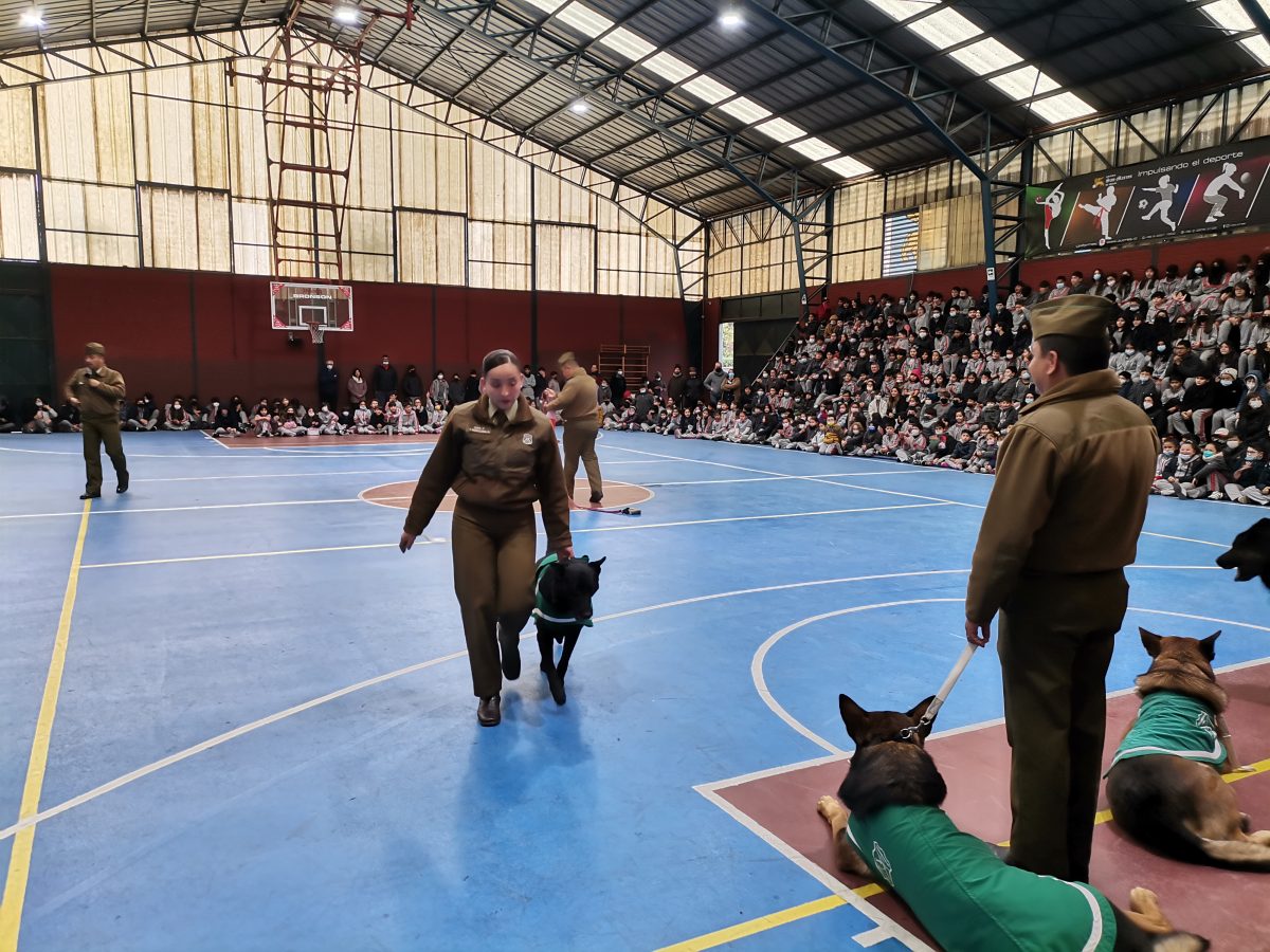 Presentación Escuela Adiestramiento Canino