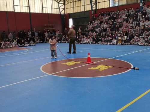 Presentación Escuela Adiestramiento Canino