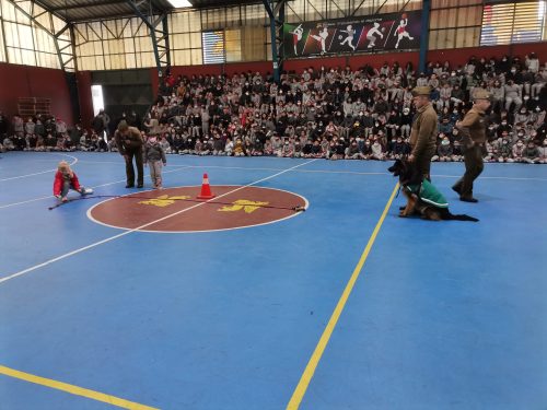 Presentación Escuela Adiestramiento Canino
