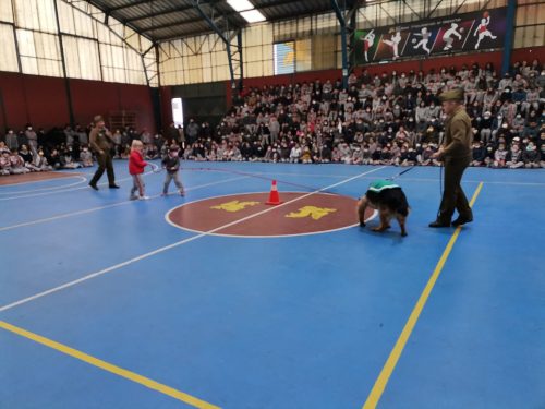 Presentación Escuela Adiestramiento Canino