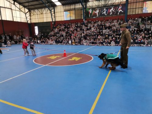 Presentación Escuela Adiestramiento Canino