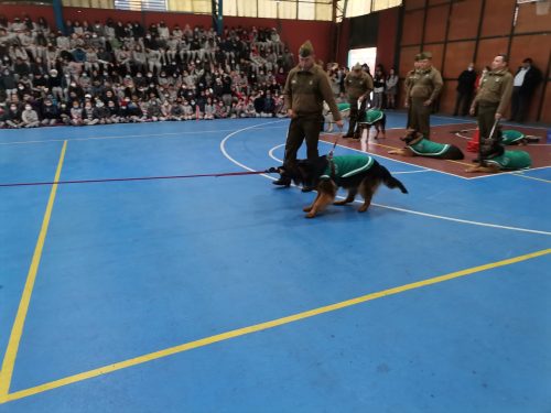 Presentación Escuela Adiestramiento Canino