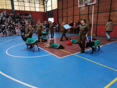 Presentación Escuela Adiestramiento Canino