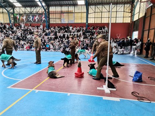 Presentación Escuela Adiestramiento Canino