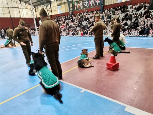 Presentación Escuela Adiestramiento Canino