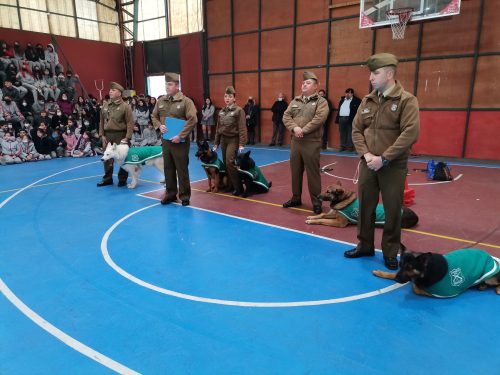 Presentación Escuela Adiestramiento Canino