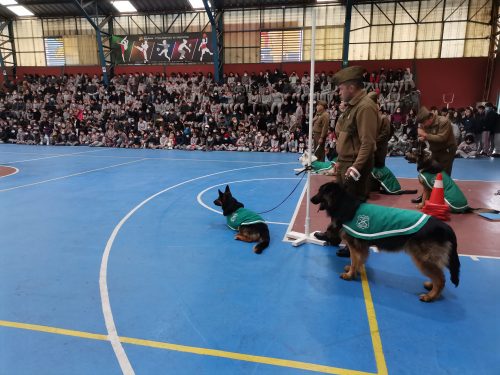 Presentación Escuela Adiestramiento Canino