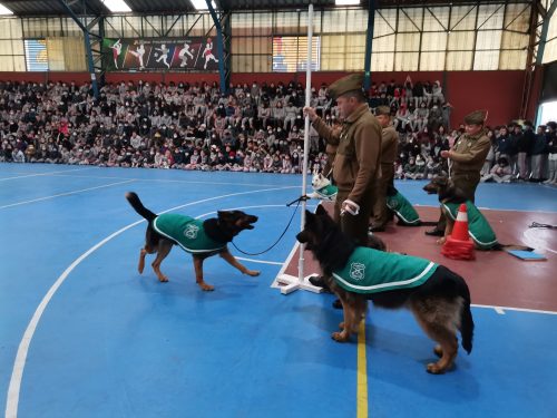 Presentación Escuela Adiestramiento Canino