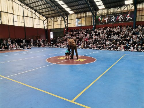 Presentación Escuela Adiestramiento Canino