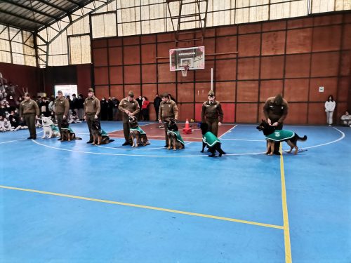 Presentación Escuela Adiestramiento Canino