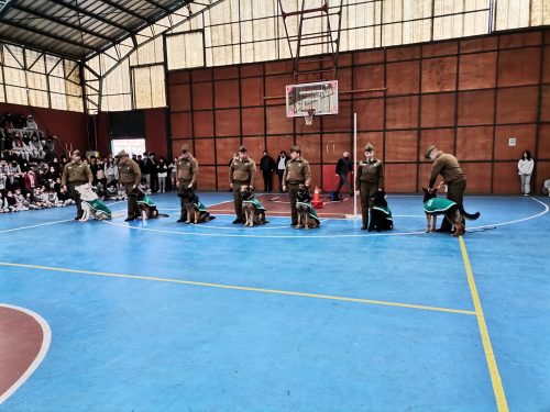 Presentación Escuela Adiestramiento Canino