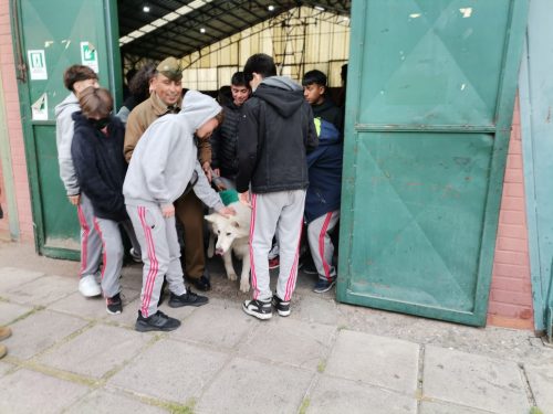 Presentación Escuela Adiestramiento Canino