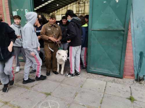 Presentación Escuela Adiestramiento Canino