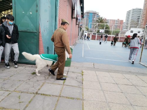 Presentación Escuela Adiestramiento Canino