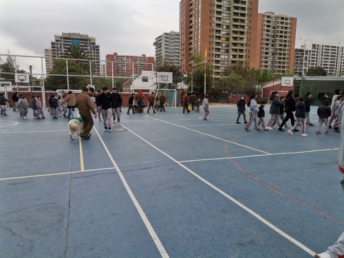 Presentación Escuela Adiestramiento Canino