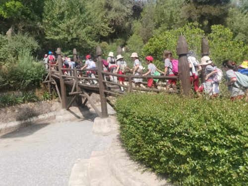 Salida pedagógica de 3° Básico al Sendero del Cerro San Cristóbal