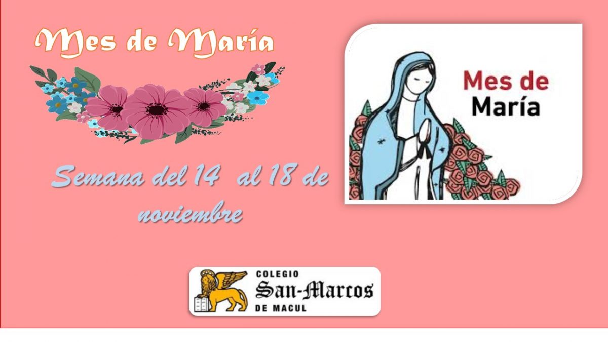 Oración Mes de María: Semana del 14 al 18 de noviembre