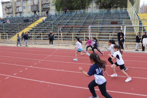 Olimpiadas BostonEduca: Atletismo de 1° a 6° Básico