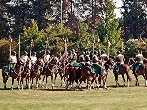 Visita a la Escuela de Caballería de Carabineros