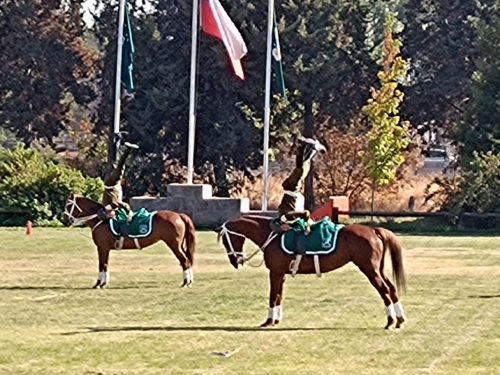 Visita a la Escuela de Caballería de Carabineros