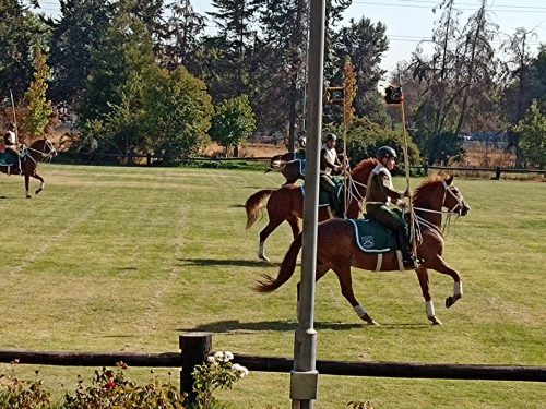 Visita a la Escuela de Caballería de Carabineros
