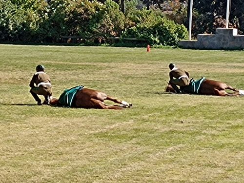 Visita a la Escuela de Caballería de Carabineros