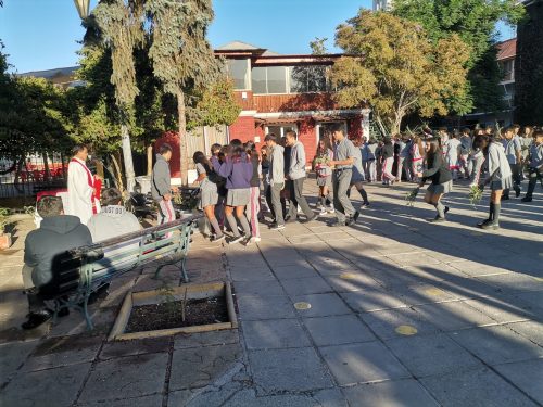 Fiesta de los Ramos