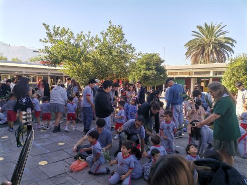 Fiesta de los Ramos