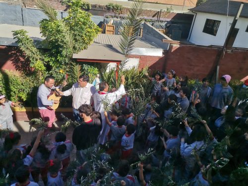 Fiesta de los Ramos