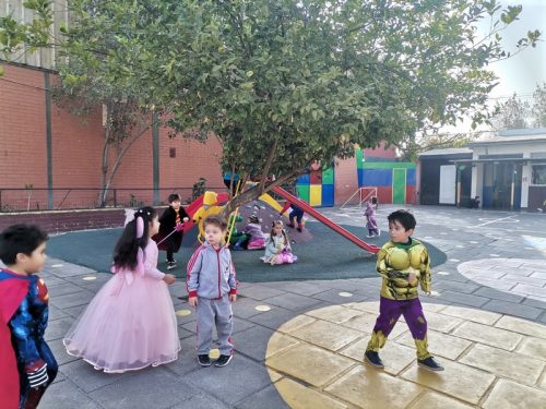 Celebración del Día del Libro
