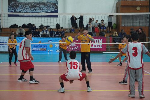 Vóleibol Mini Varones – Olimpiadas BostonEduca 2023