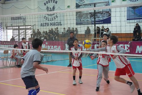 Vóleibol Mini Varones – Olimpiadas BostonEduca 2023