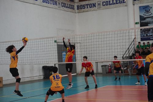 Vóleibol Intermedia Varones – Olimpiadas BostonEduca 2023