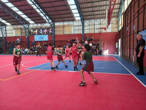 Triste jornada basquetbolística en la Copa Soprole-UC