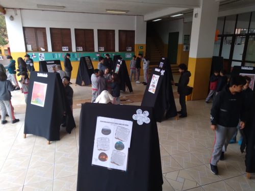 Muestra pública Proyecto STEAM