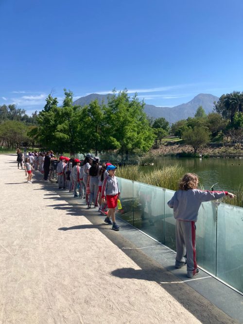 Paseo de los Segundos Básicos al Parque Bicentenario