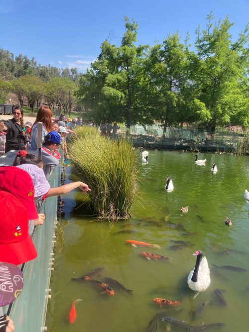 Paseo de los Segundos Básicos al Parque Bicentenario