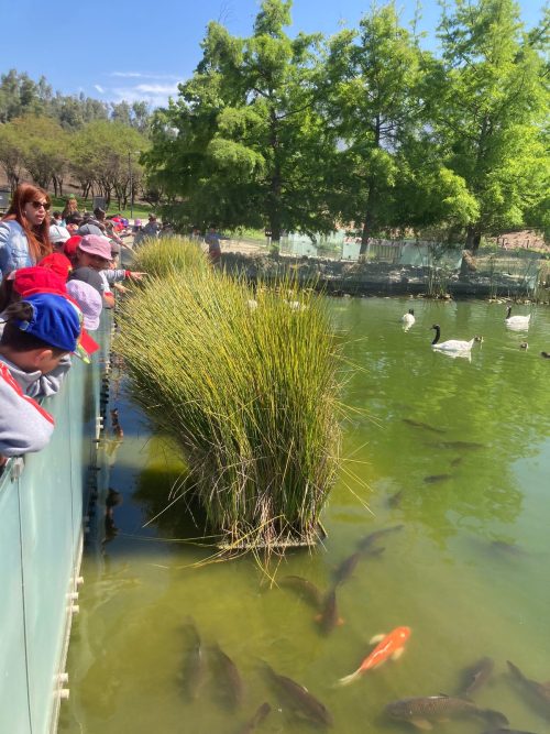 Paseo de los Segundos Básicos al Parque Bicentenario
