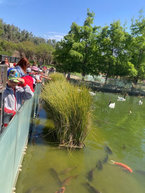 Paseo de los Segundos Básicos al Parque Bicentenario