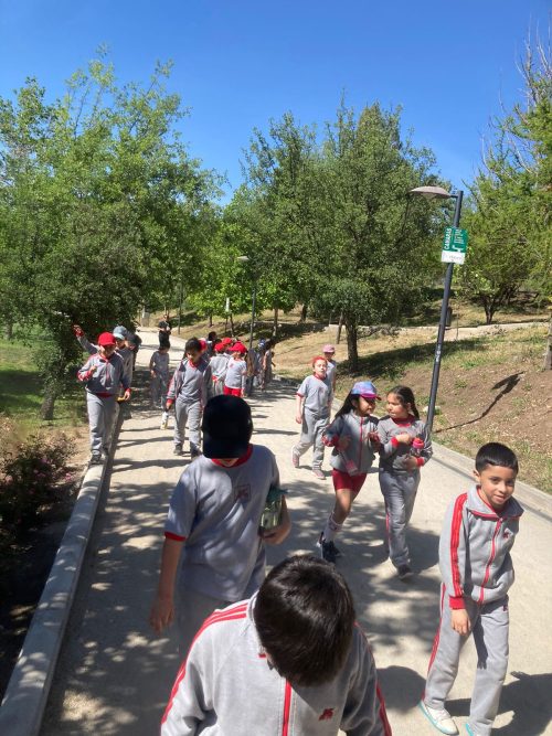 Paseo de los Segundos Básicos al Parque Bicentenario