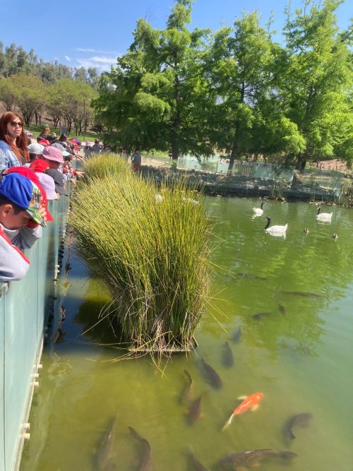 Paseo de los Segundos Básicos al Parque Bicentenario