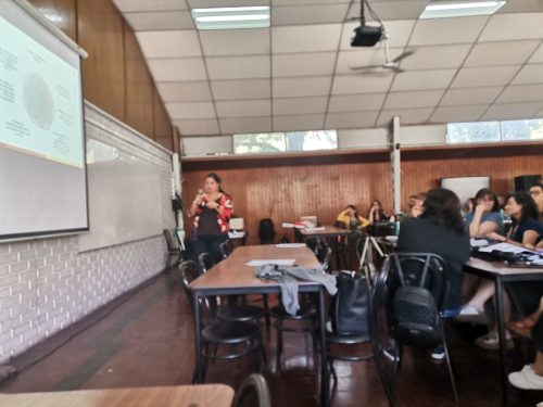 Capacitación docente CSM-BCAM