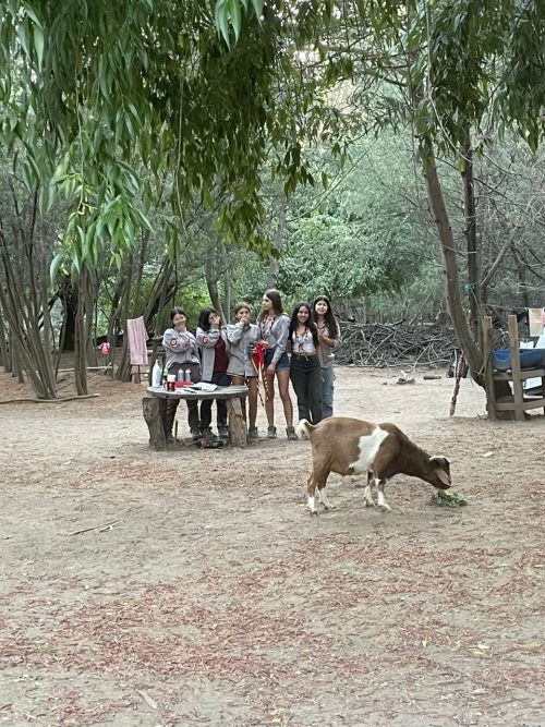 CAMPAMENTO DE VERANO GRUPO DE GUÍAS Y SCOUT SAN MARCOS