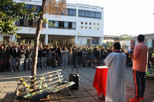 Bendición de ramitos