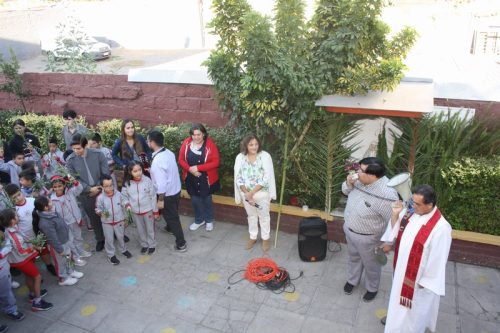 Bendición de ramitos