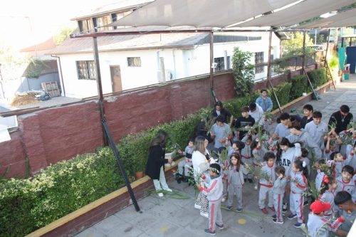 Bendición de ramitos