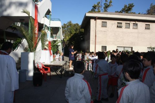 Bendición de ramitos